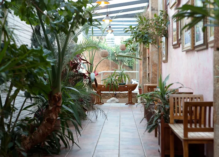 Htop Palm & #htopenjoy Otel