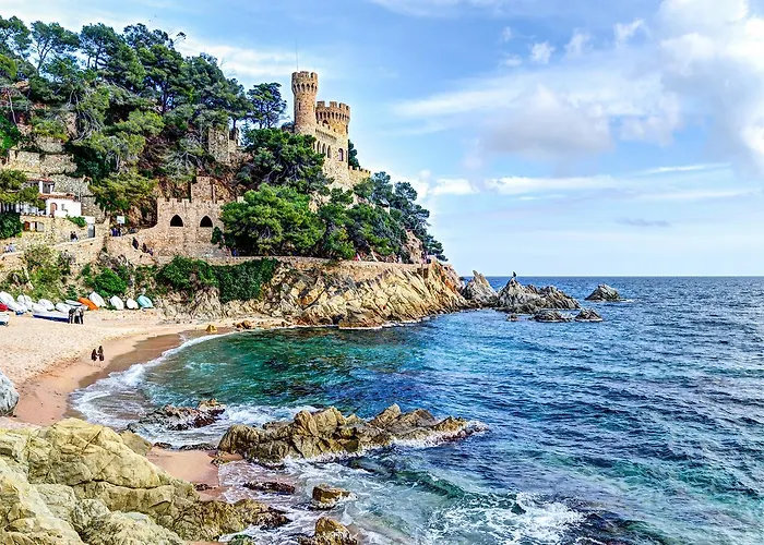 Htop Palm & #htopenjoy