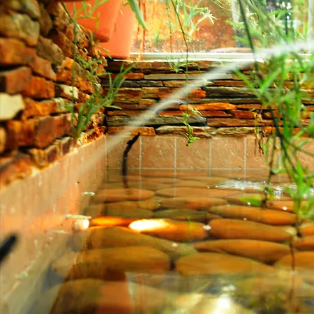 Htop Palm & #htopenjoy 3* Λορέτ Ντε Μαρ