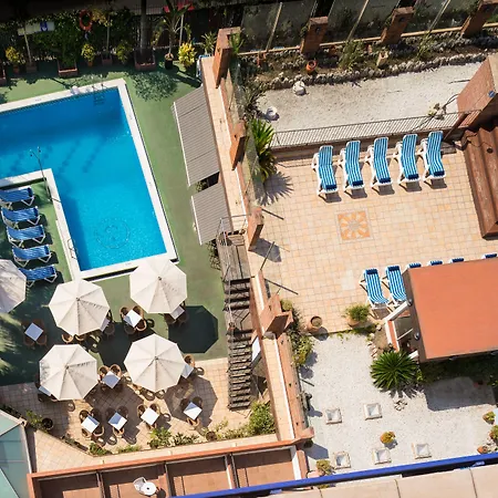 Htop Palm & #htopenjoy 3*