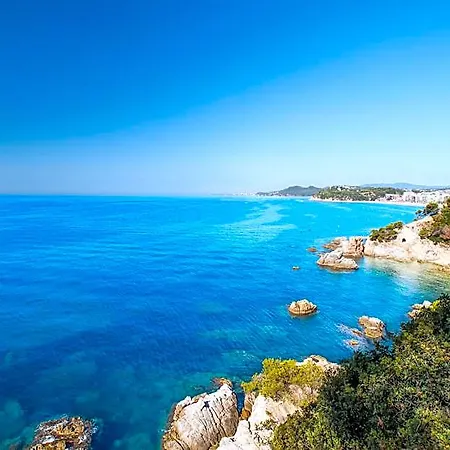 Htop Palm - Fun 3* Lloret de Mar