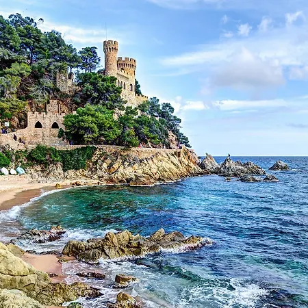 Htop Palm & #htopenjoy