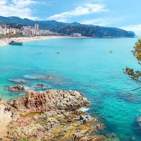 Htop Palm & #htopenjoy