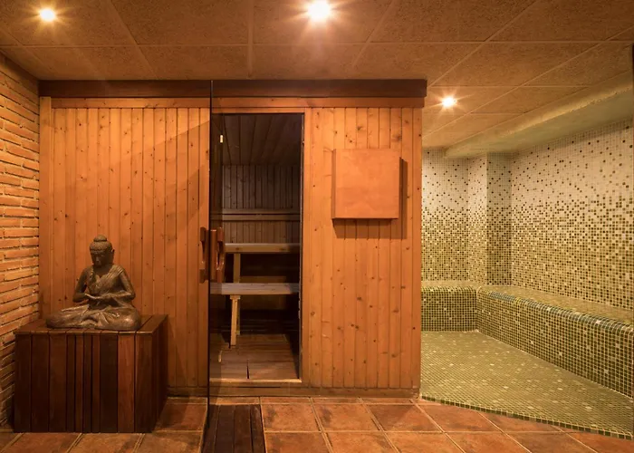 Htop Palm & #htopenjoy