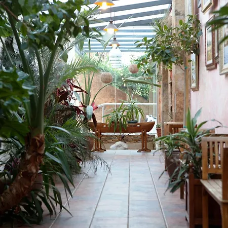 Htop Palm & #htopenjoy Hotel