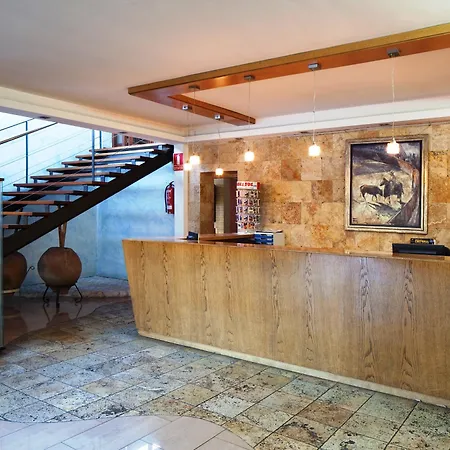 Htop Palm & #htopenjoy 3*