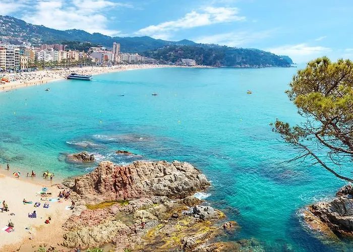 Htop Palm & #htopenjoy