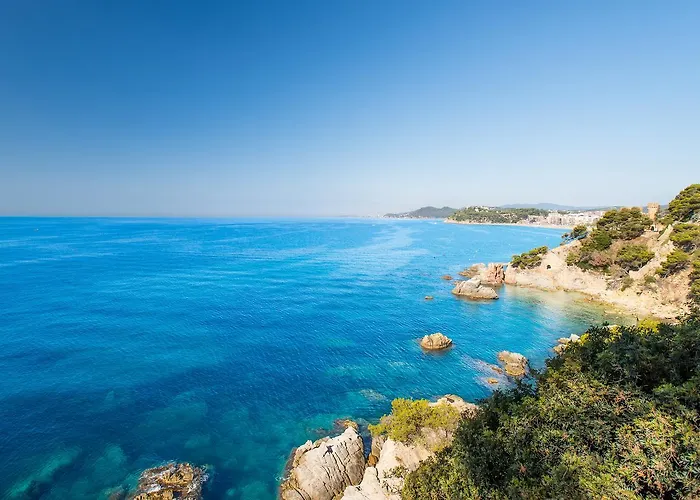 Htop Palm & #htopenjoy 3*