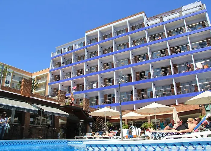 Htop Palm & #htopenjoy